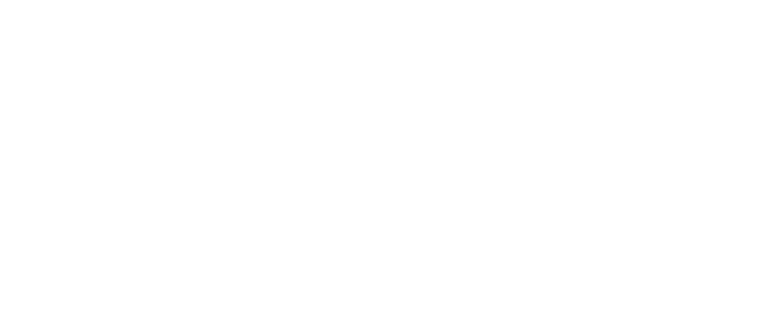 blank page@3x scaled